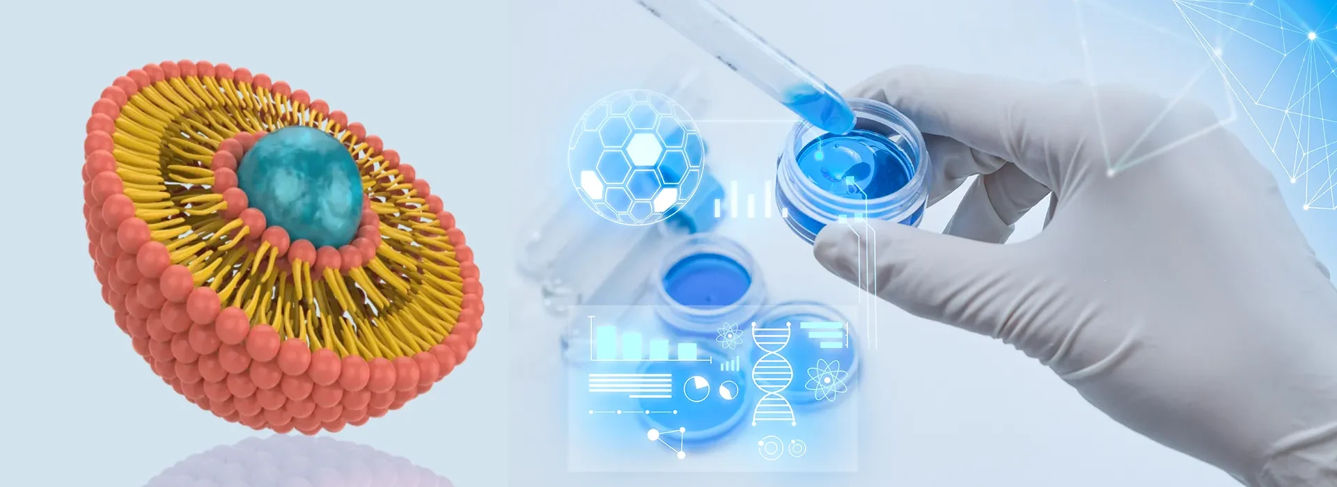 Liposomal Technology manufacturer, supplier & exporter
