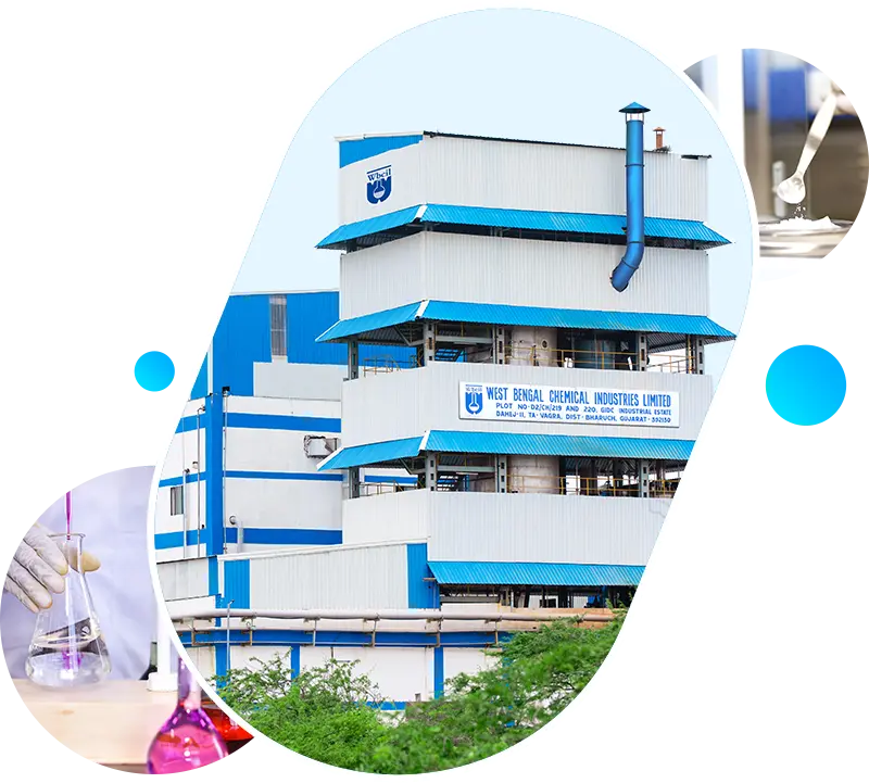 active pharmaceutical ingredient manufacturers in india