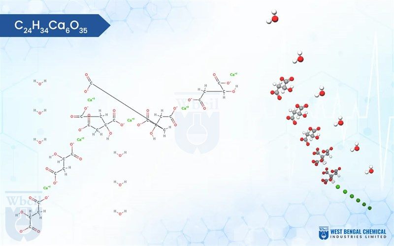 Calcium Citrate Malate