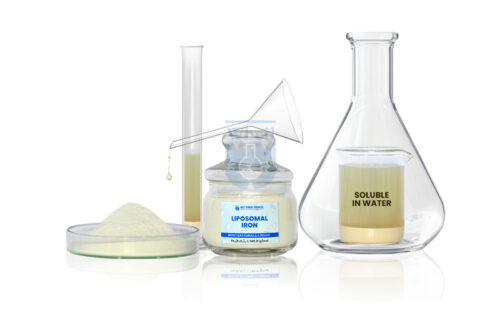 Liposomal Iron - WBCIL