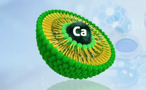 Liposomal Calcium