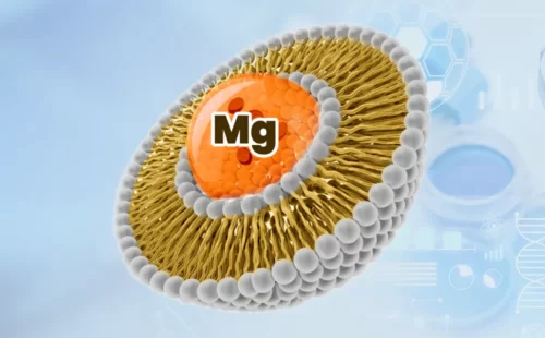 Liposomal Magnesium API manufacturer