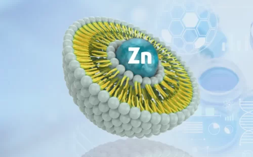 Liposomal Zinc advanced liposome technology