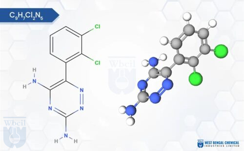 Lamotrigine