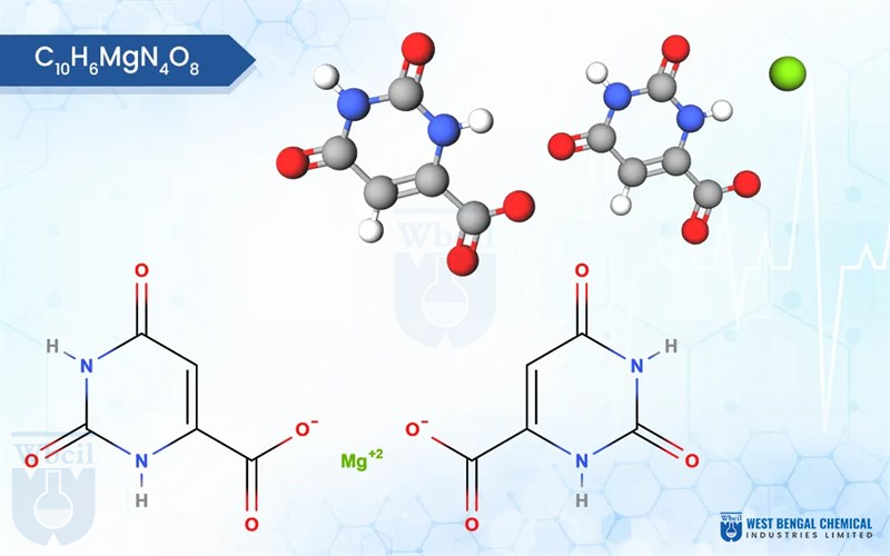 Magnesium Orotate