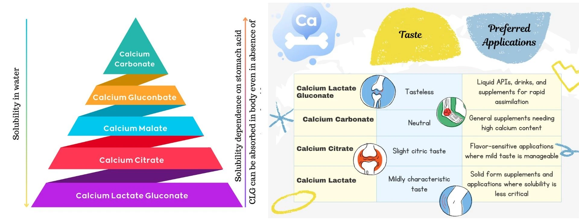 How Does It Compare to Other Calcium Supplements