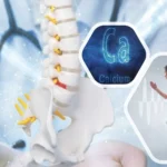 السيترات مقابل مالات السيترات