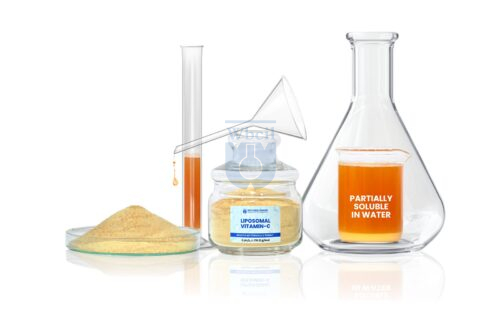 Liposomal Vitamin C - WBCIL