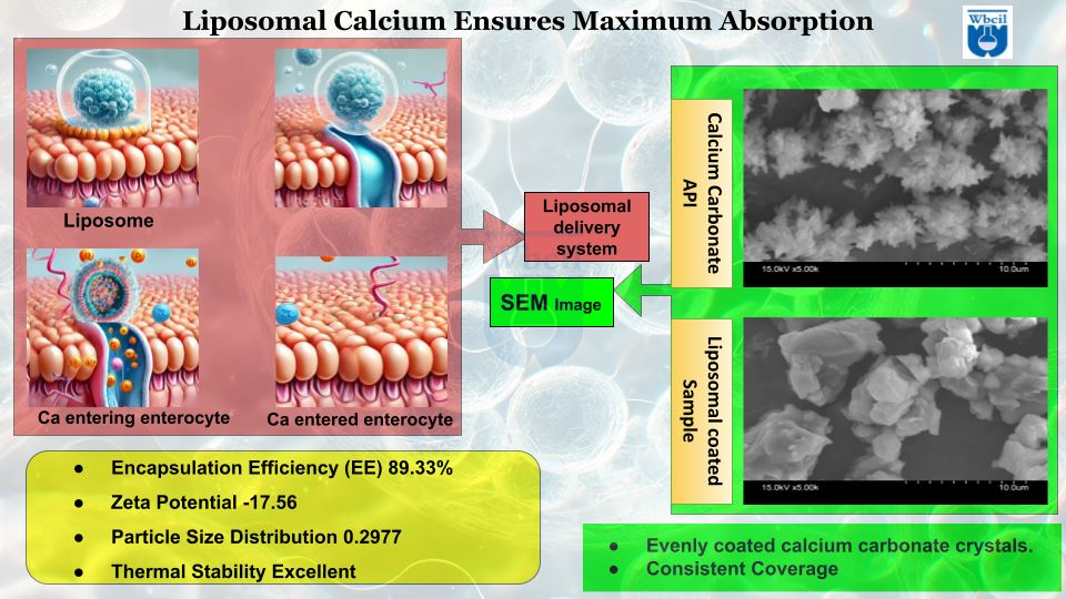 benefits of liposomal calcium