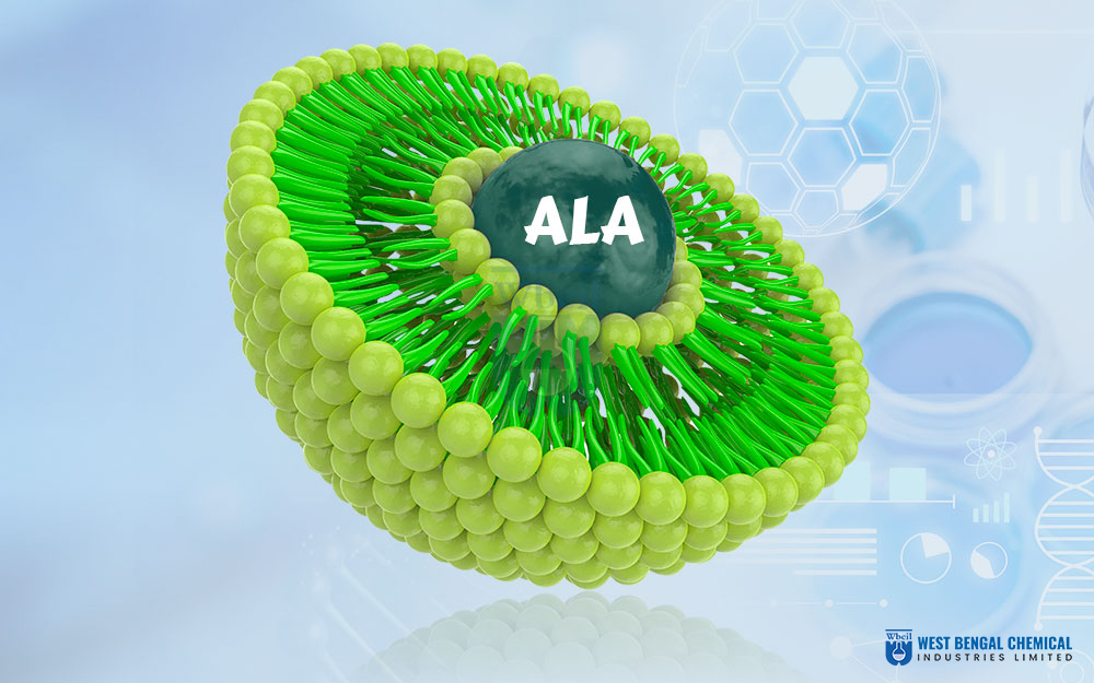 Liposomal Alpha Lipoic Acid - WBCIL