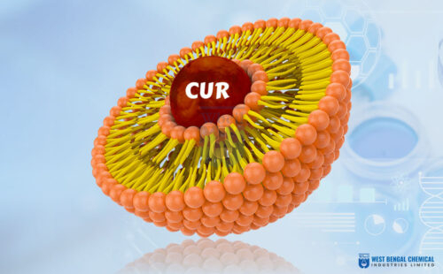 Liposomal Curcumin - WBCIL