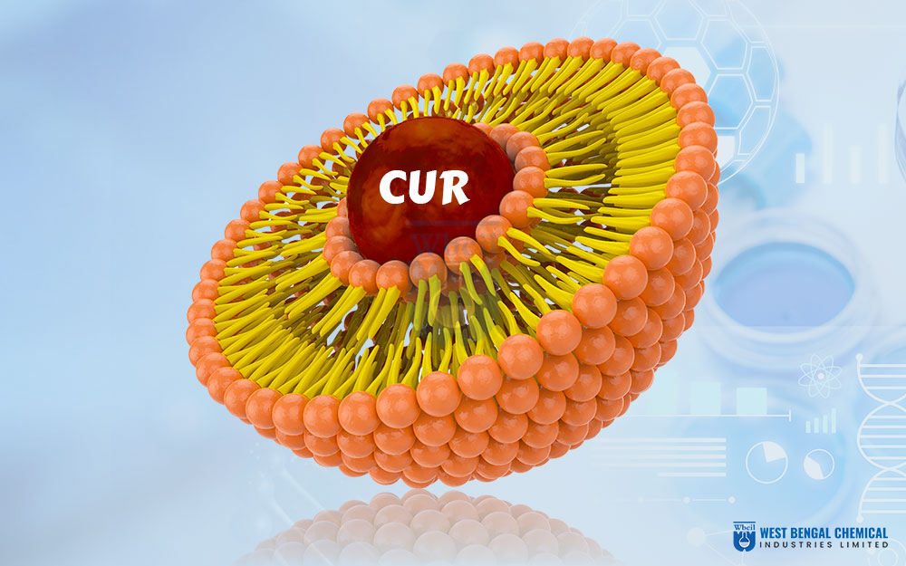 Liposomal Curcumin - WBCIL