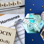 Neurochemical Balance and Minerals