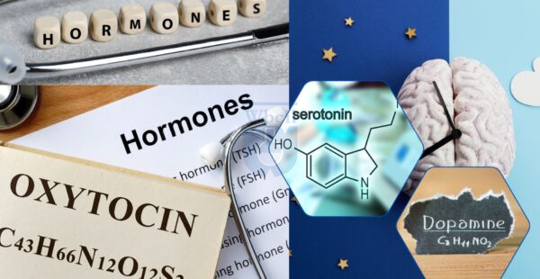 Neurochemical Balance and Minerals