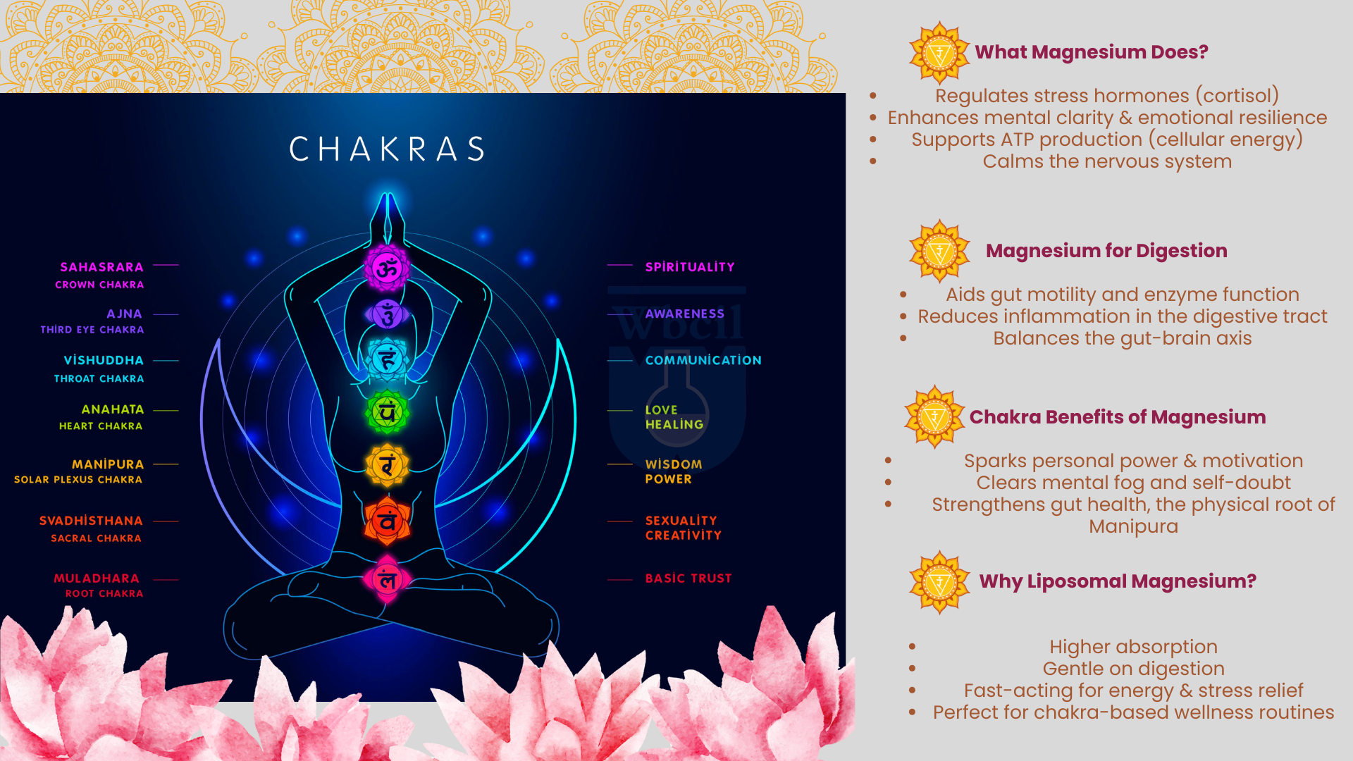 Solar plexus chakra and WBCIL minerals