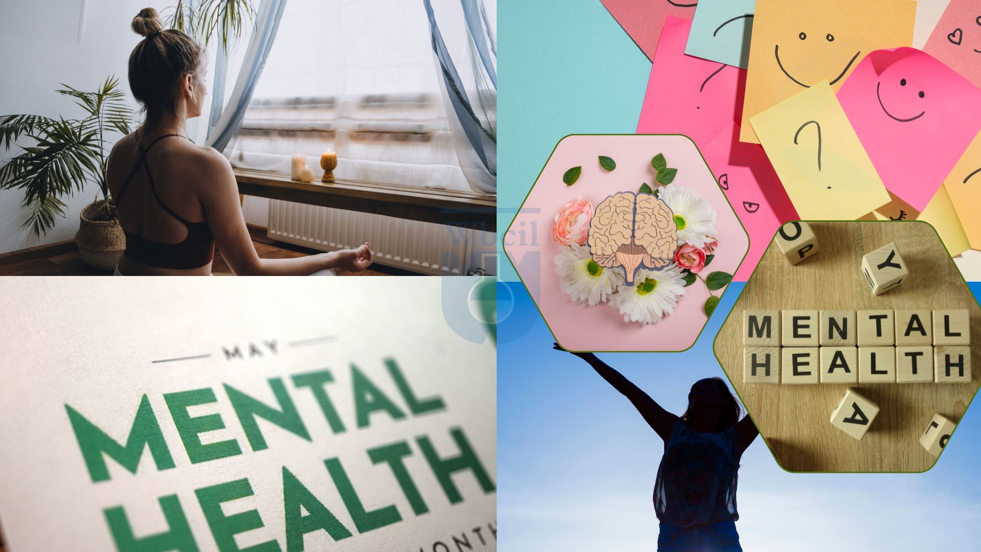 How Liposomal Minerals Are Changing Mental Wellness Support