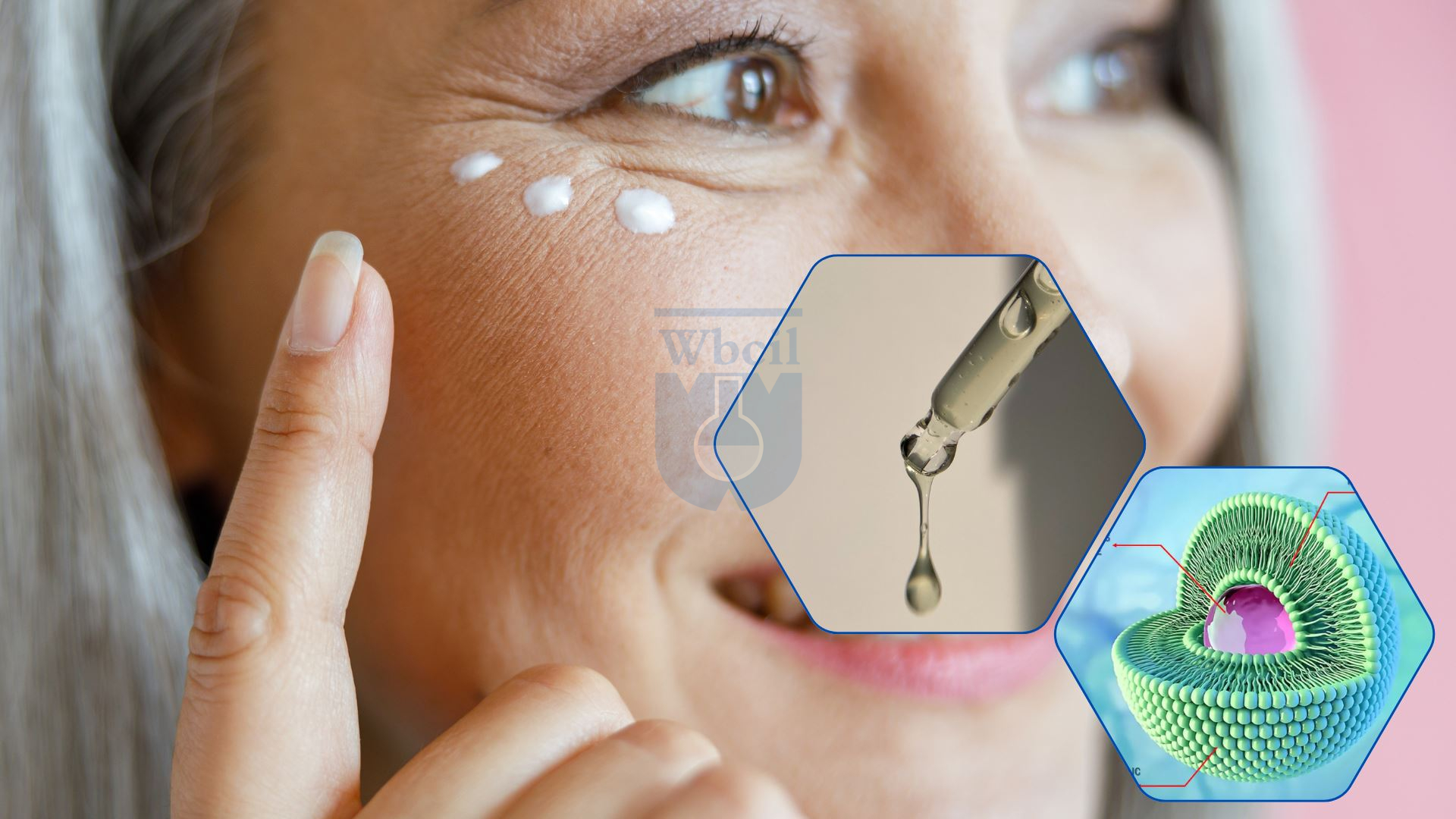 liposomal serum