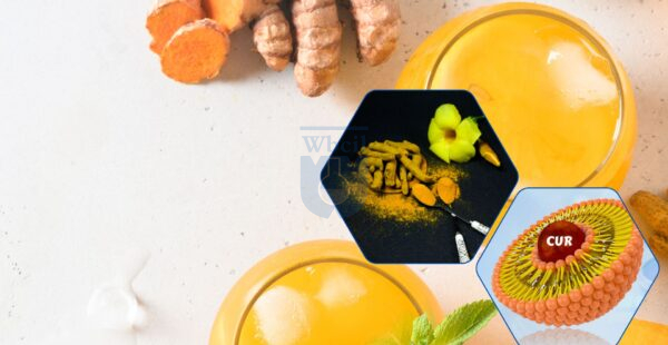 Liposomal curcumin benefits