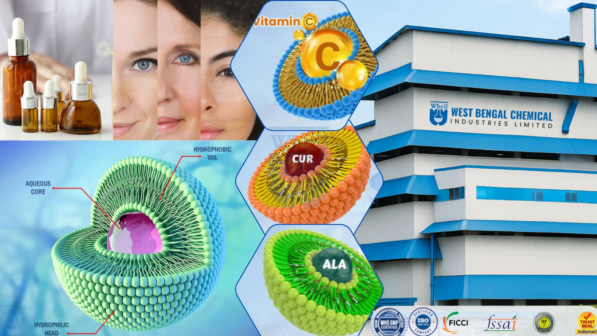 WBCIL's liposomal products