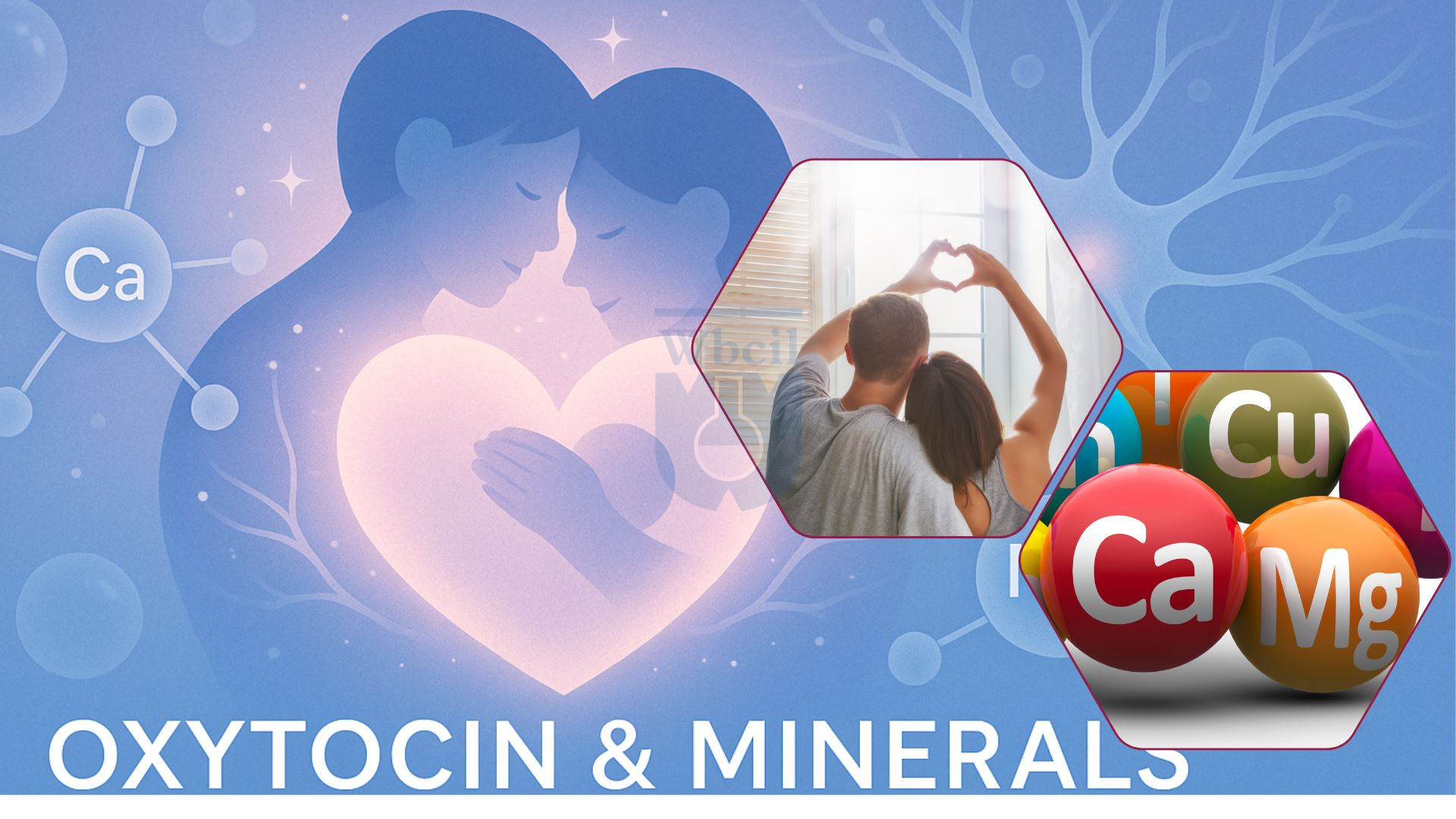 Calcium Magnesium support emotional connection