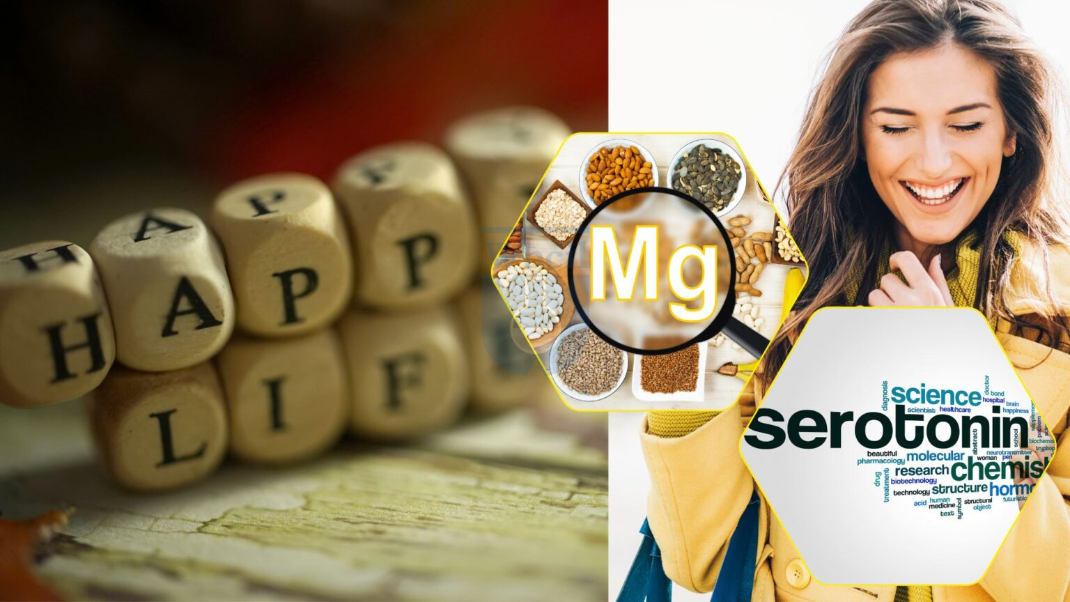 Magnesium for Anxiety, Depression and Mood Function - The Key