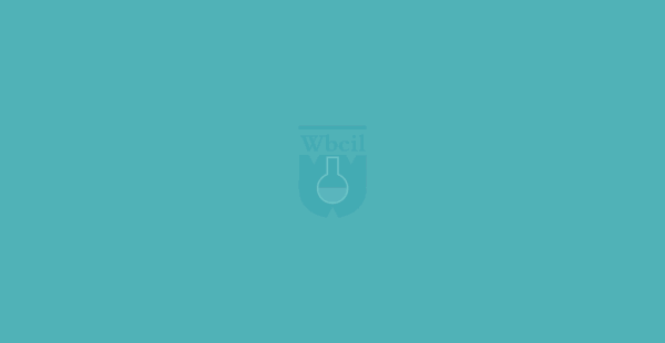 How liposomal drug delivery system works