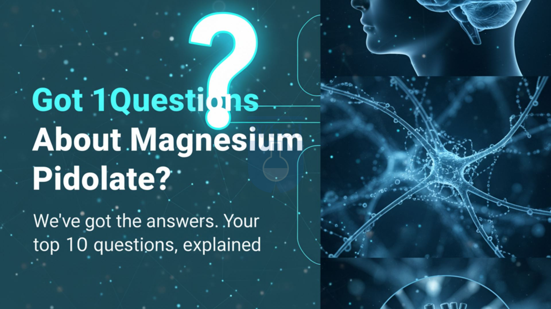 FAQ on Magnesium pidolate