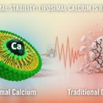 Thermal stability liposomal