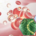 liposomal encapsulation