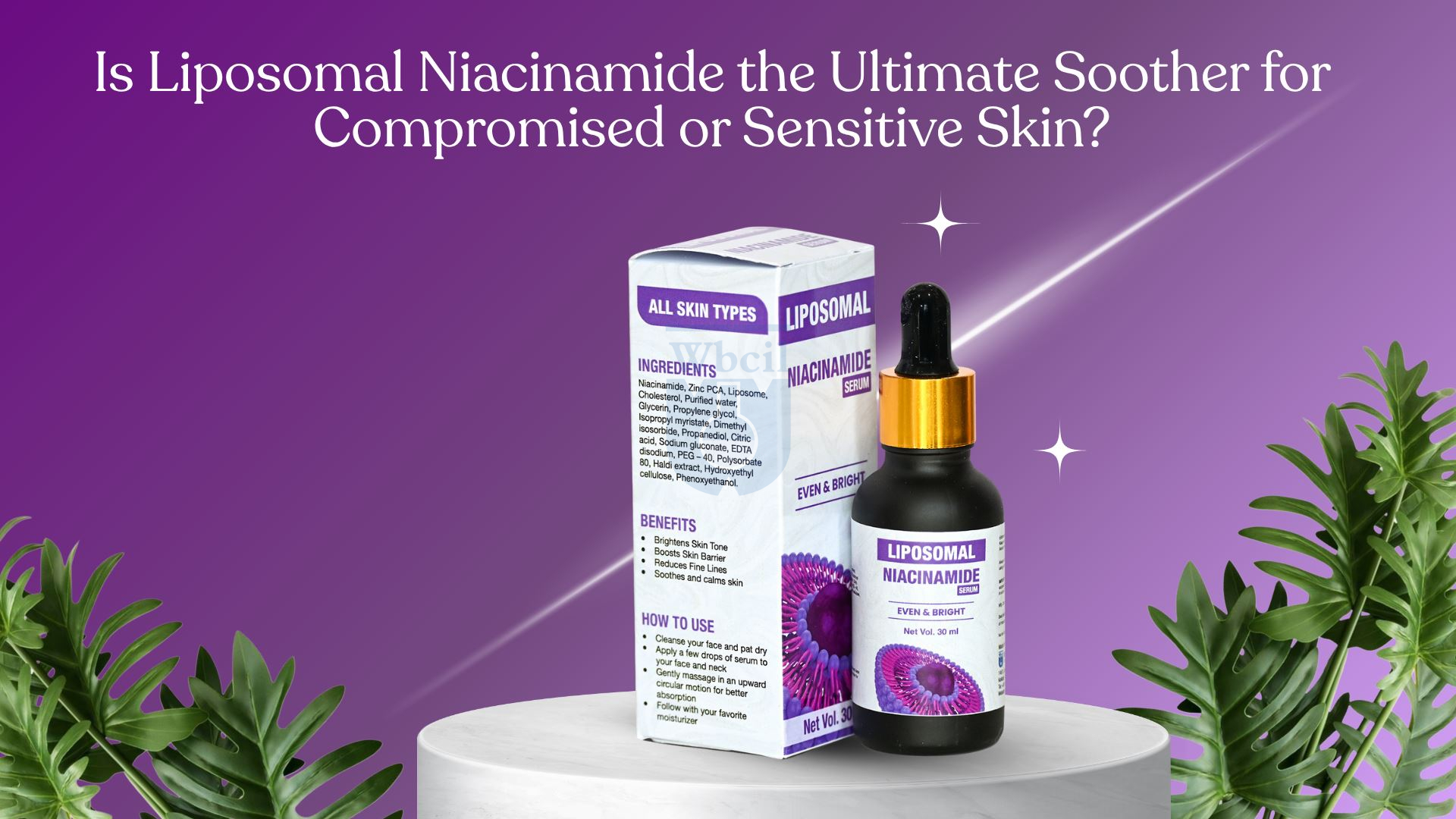 Liposomal niacinamide