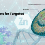 Liposomal zinc cancer