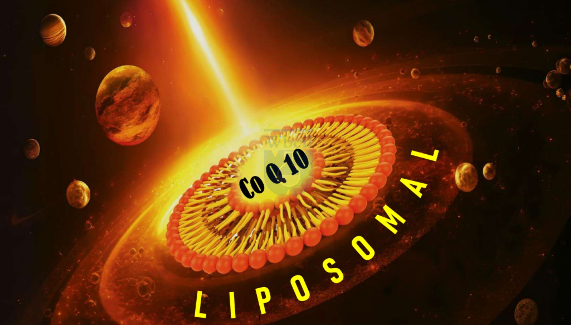 Liposomal Coq10 whitepaper