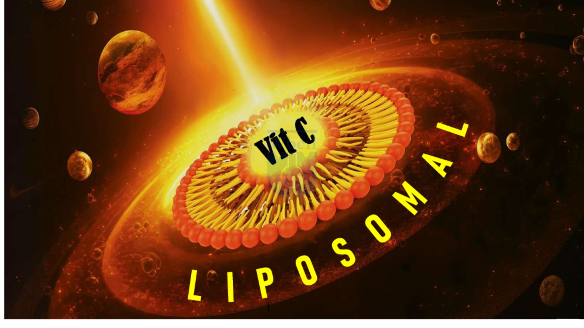 Liposomal Vit C whitepaper