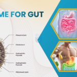 Liposome for Gut Health