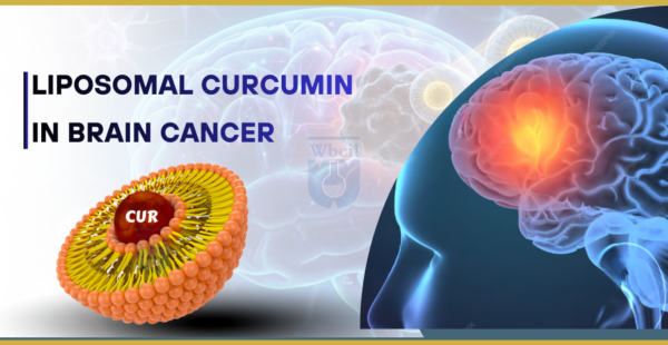 Liposomal Curcumin in Brain Cancer