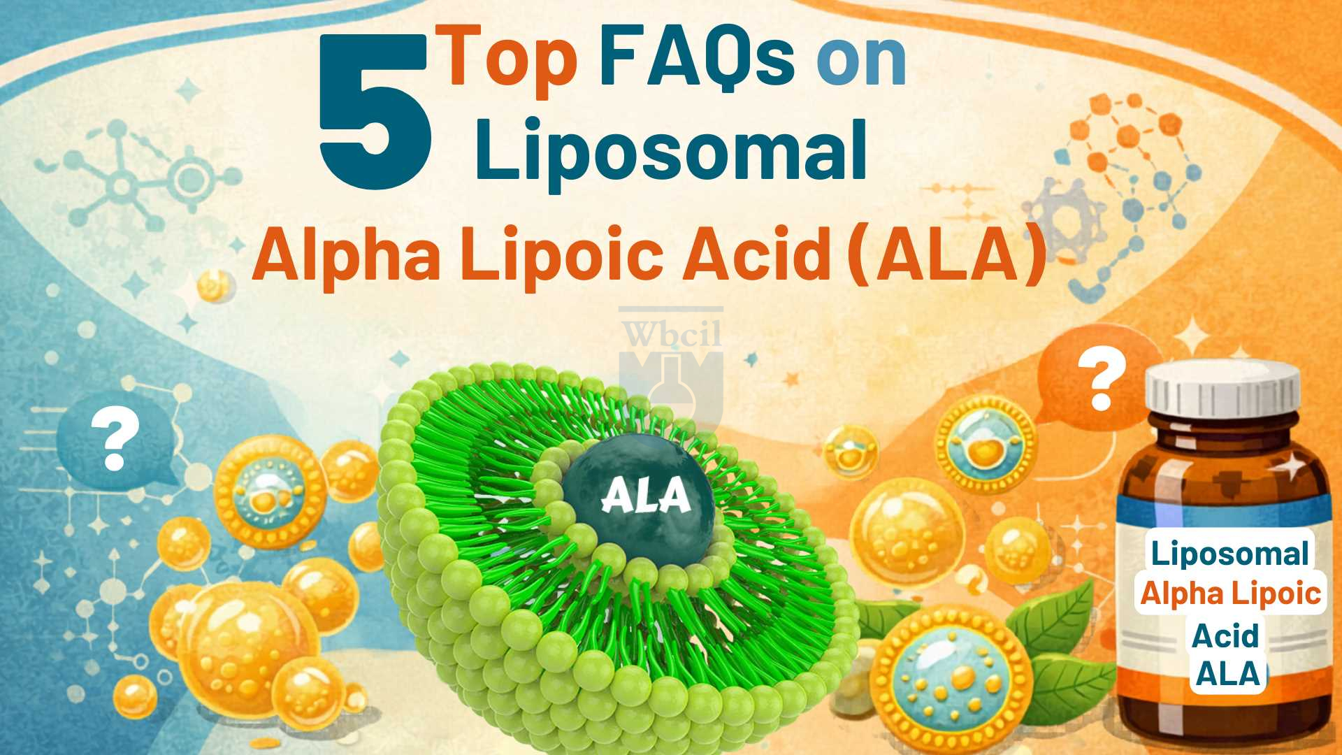 liposomal glutathione half life Zeylamum 2400 MG Softgels, Max Absorption, Active Form L-Glutathione Reduced (GSH), with Hyaluronic Acid, Resveratrol, Master Antioxidants for Brain, Immune System, 60 Softgels : Health & Household Frontiers | Glutathione: Pharmacological aspects