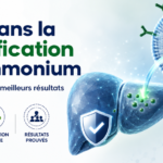 LOLA dans la détoxification de l'ammonium